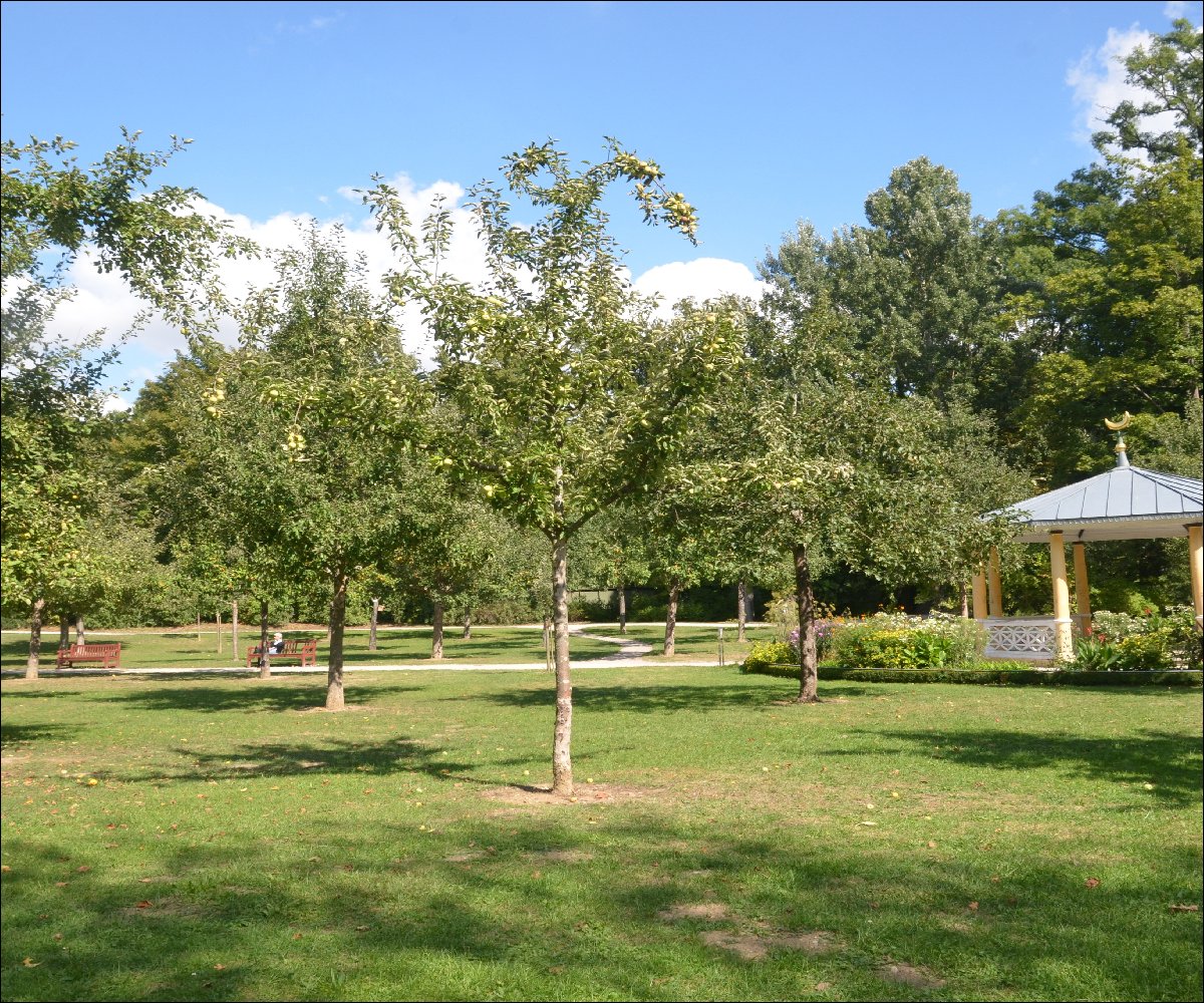 Schlosspark Bad Mergentheim