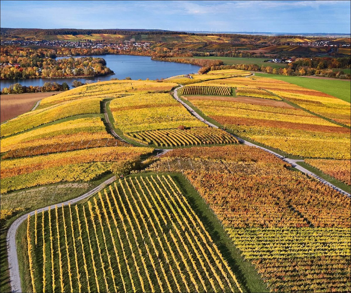 DSGVO WT L wenstein Breitenauer See Weinlandschaft im Herbst WEB