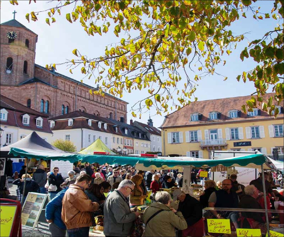 Marktplatz Homburg