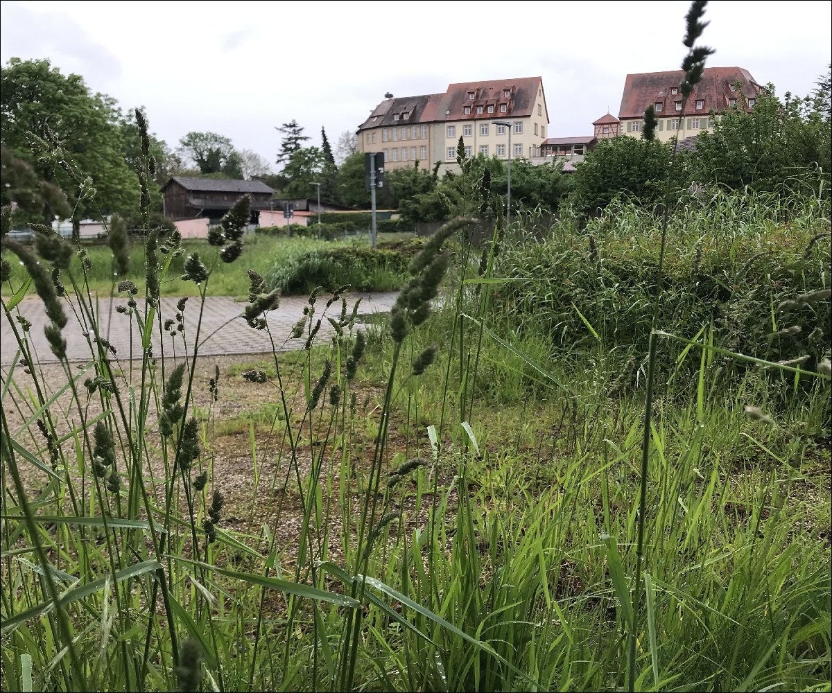 Wohnmobilplatz in Kraichtal-Unteröwisheim mit Blick auf das Schloss