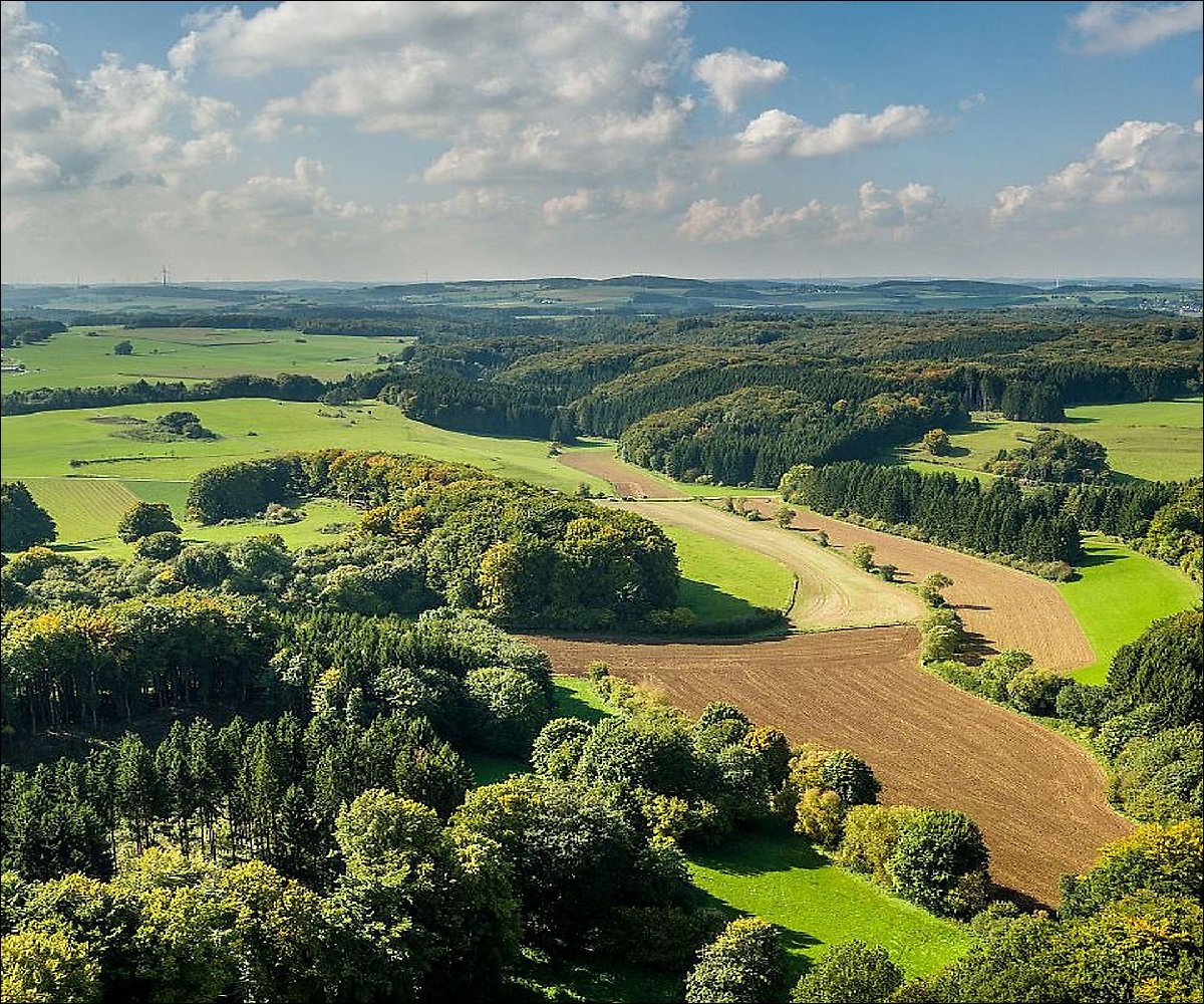 Panorama-Waldbild Prümer Land