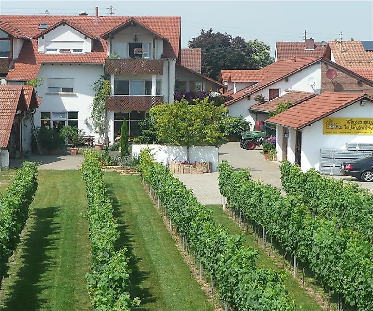 Wein- u. Gästehaus Im Linsenbusch 1