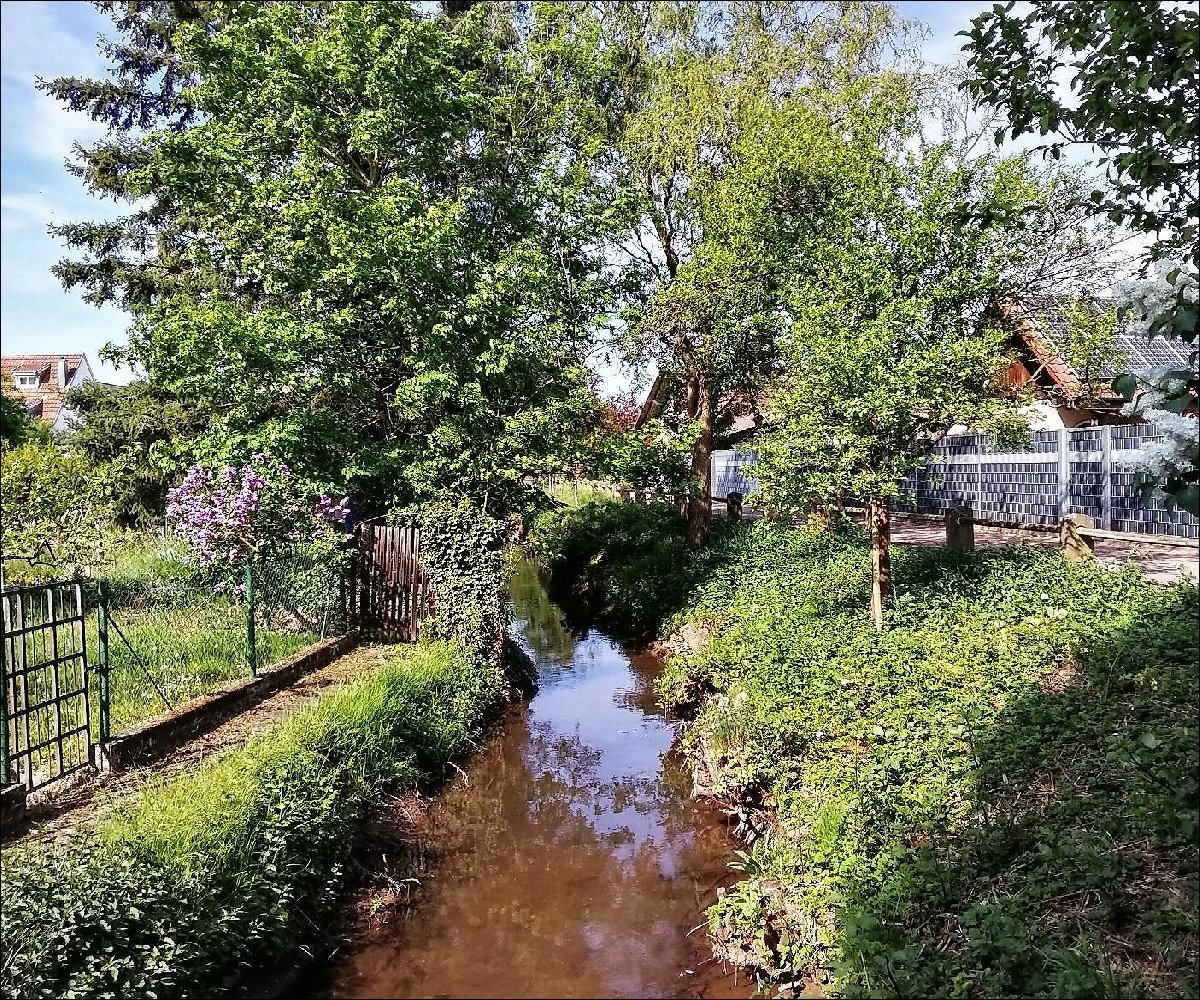 Vorbei an Gärten verläuft der Bach in Ingenheim