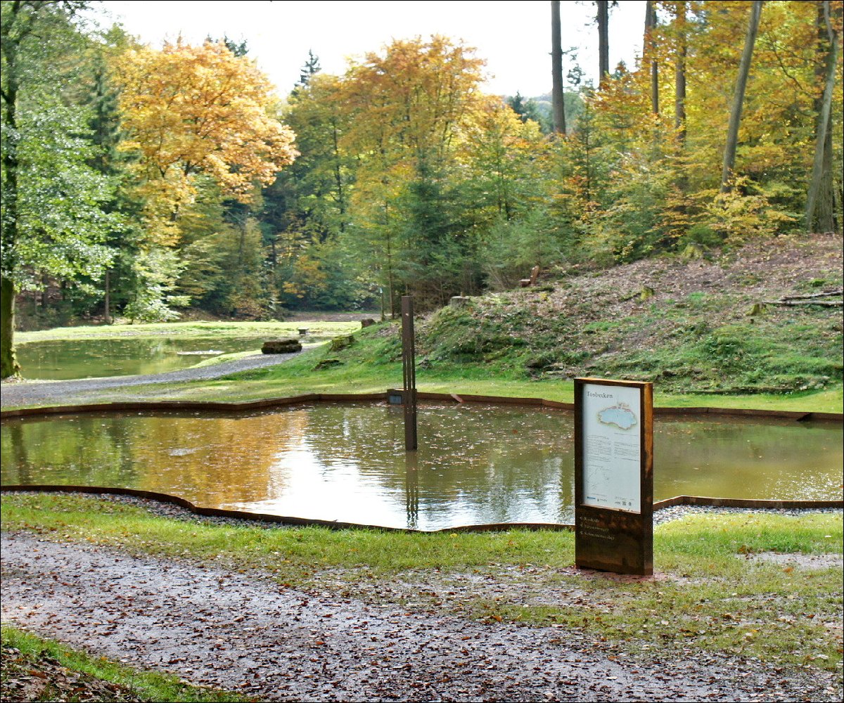 Tosbecken im WaldPark Schloss Karlsberg, Homburg,  2013, Michael Emser