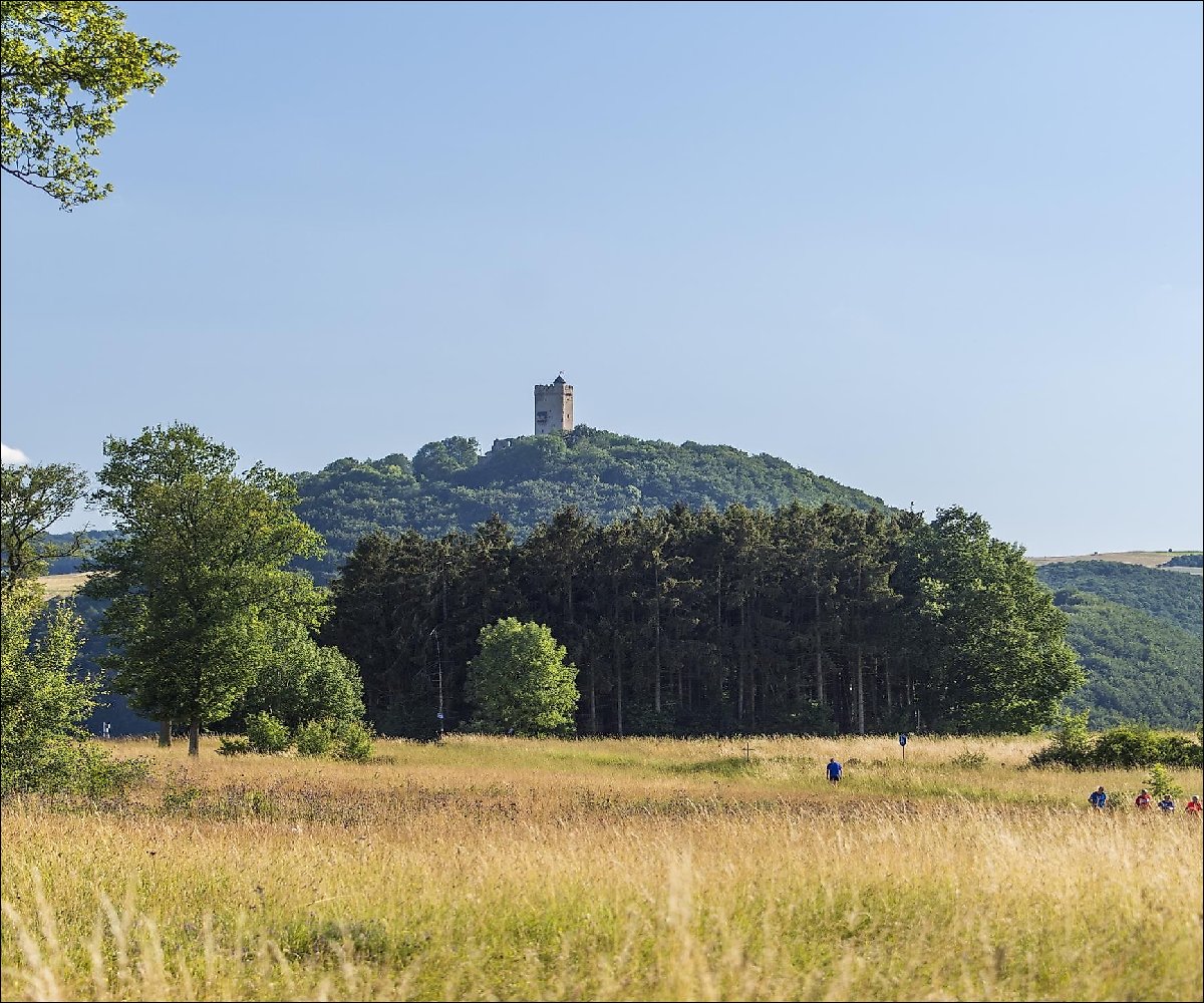 Blick auf Burg Olbrück