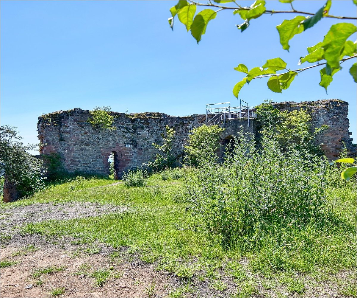 Frauenberg Ruine in Ebsdorfergrund