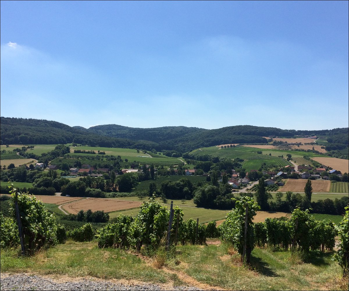 Blick vom Ranzenberg, Pfedelbach