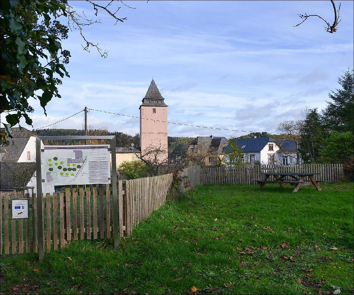 Ostbaumlehrpfad in Kyllburg