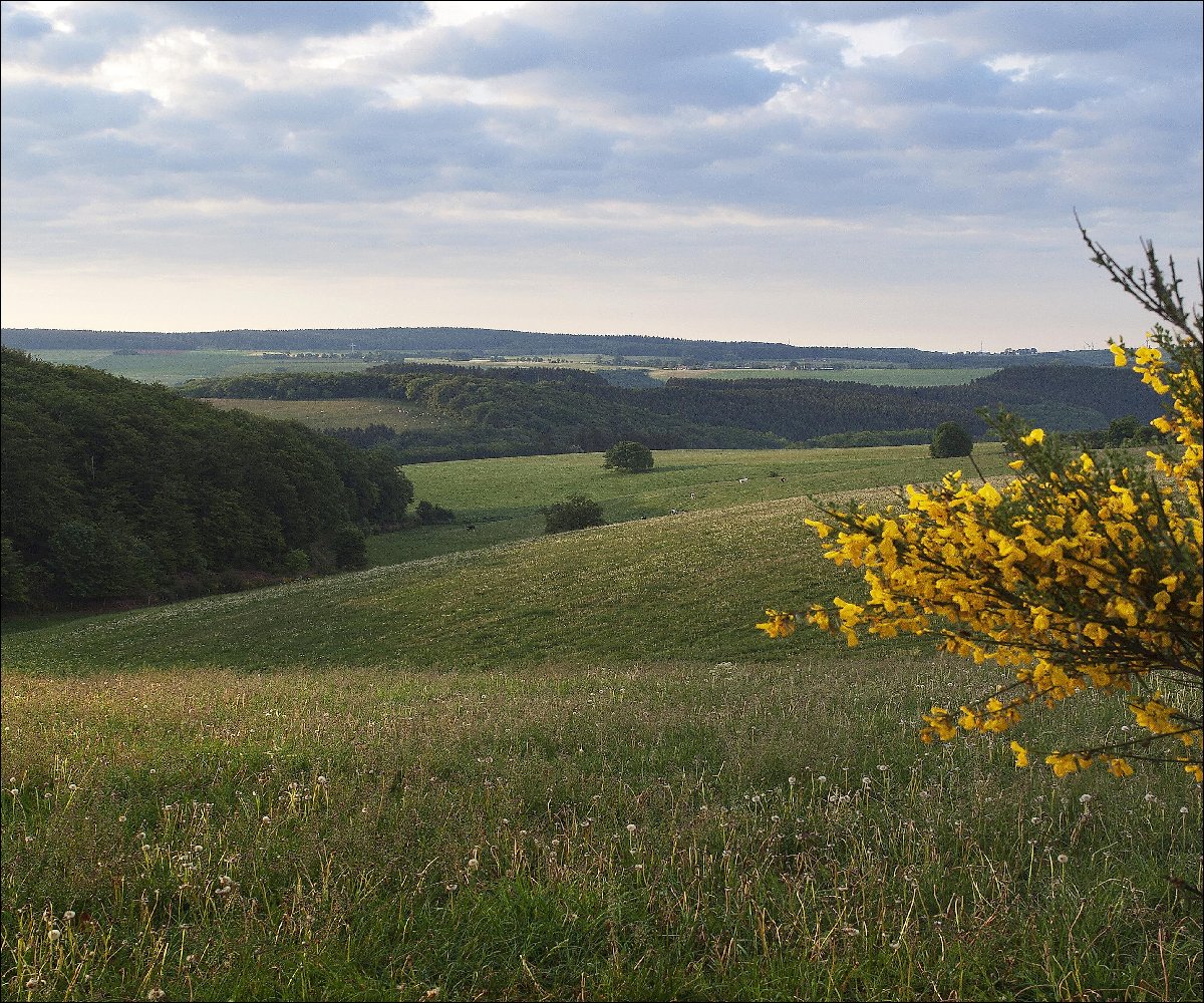 Bleialf Panorama Höhe Riechelberg