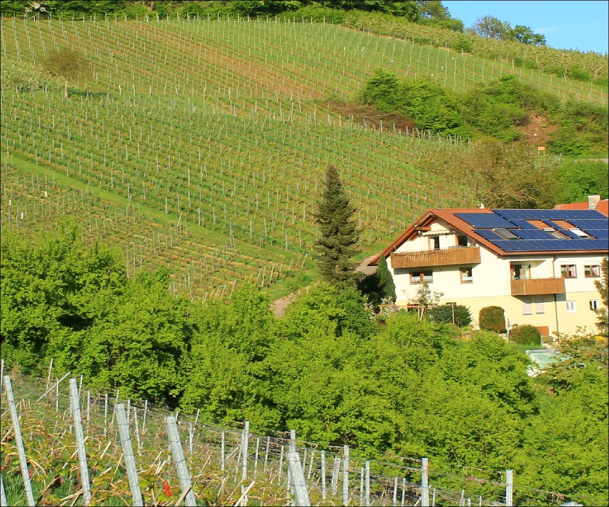 Ferienwohnung Kraft, Pfedelbach-Untersteinbach, Hohenlohe