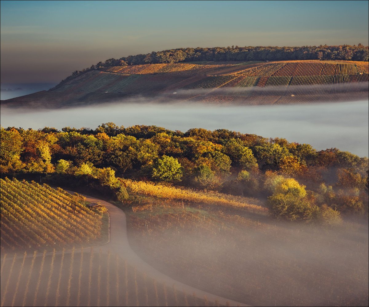 DSGO Weinlandschaft Weinsberger Tal Herbst Nebel Chris Frumolt 6