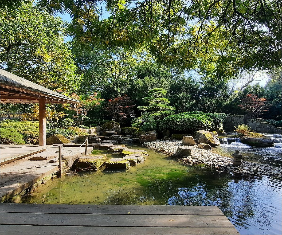 Botanischer Garten Japangarten