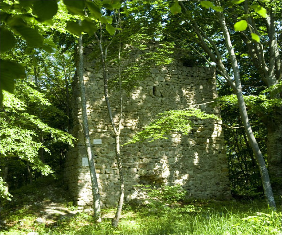 Ruine Hasenfratz