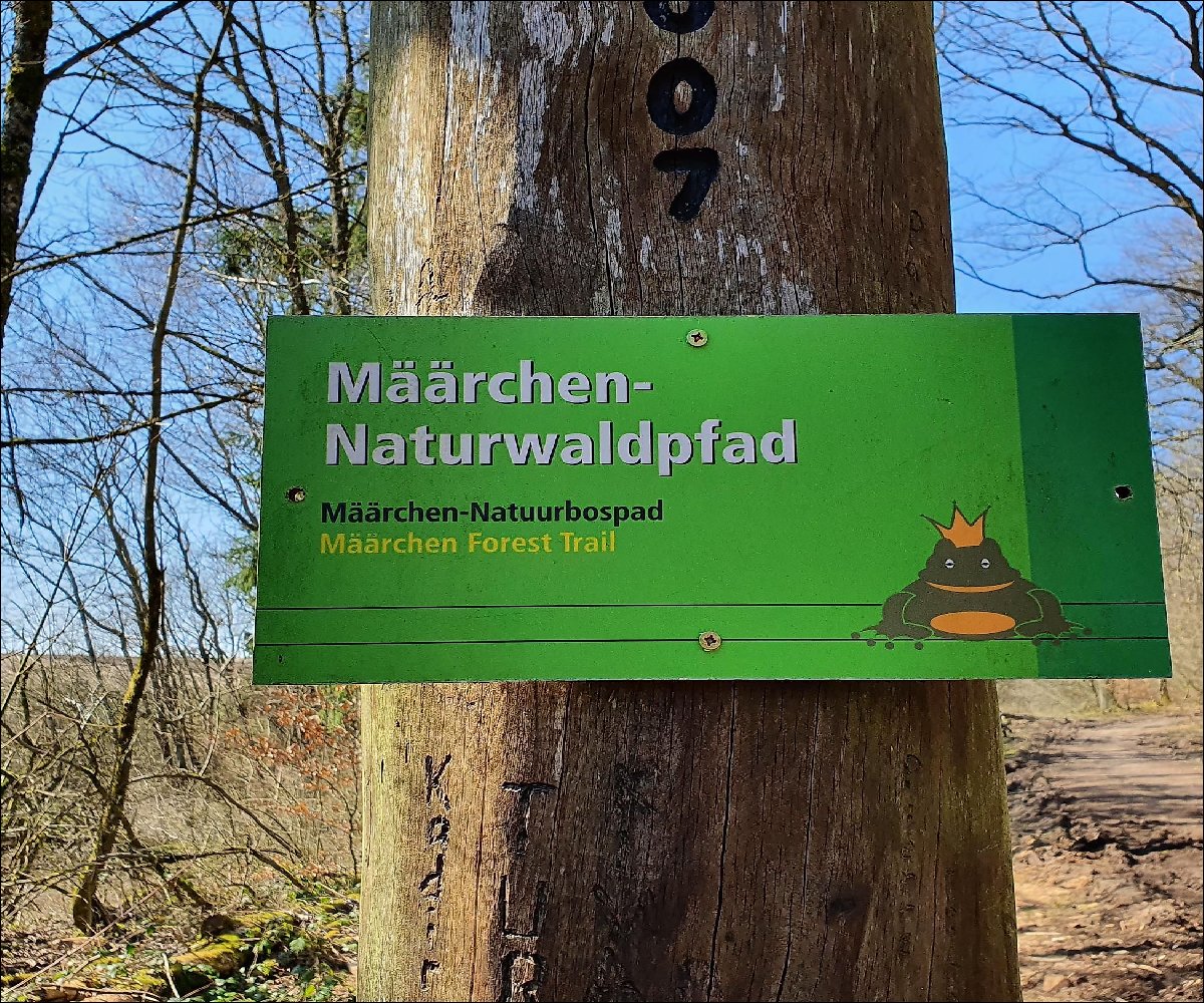 Mäarchen Naturwaldpfad