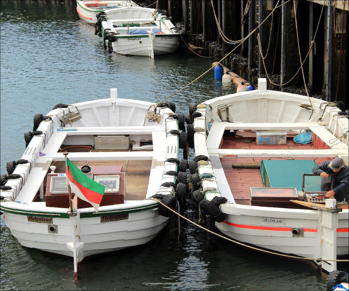Helgoländer Börteboote