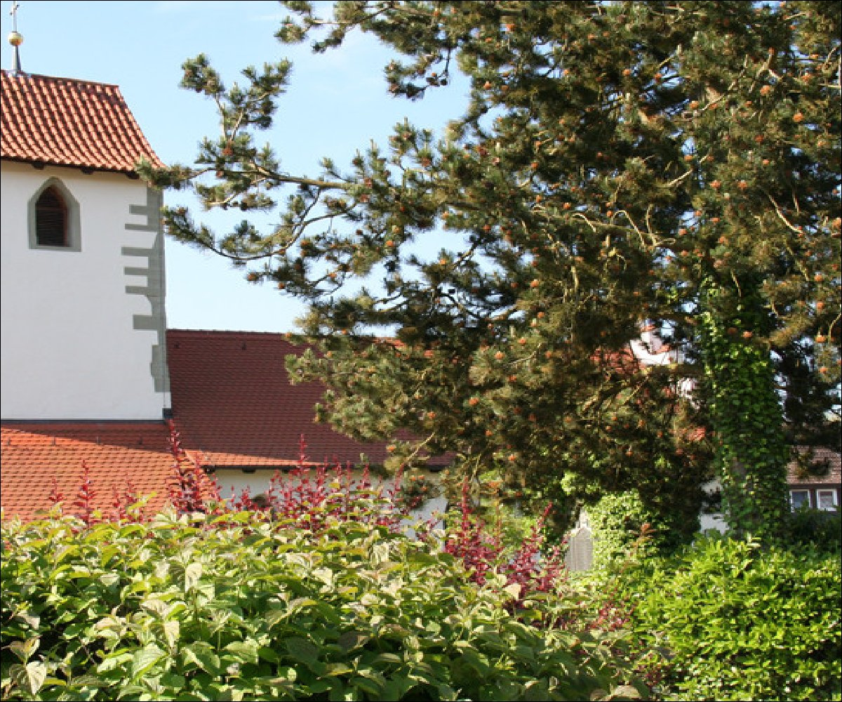 Kirche St.  Agatha Hemmenhofen