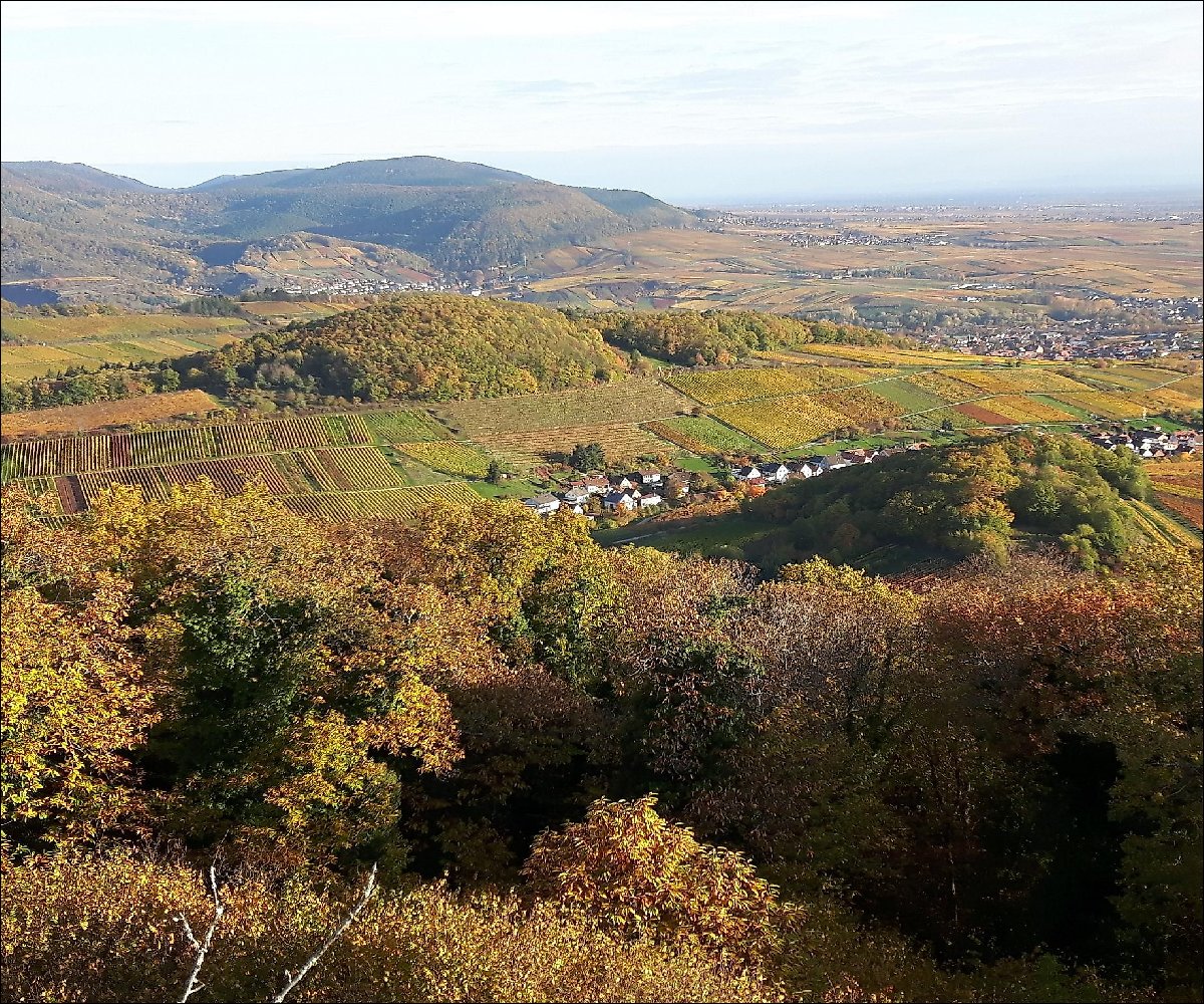 Blick auf den Ranschbacher Seligmacher im Herbst