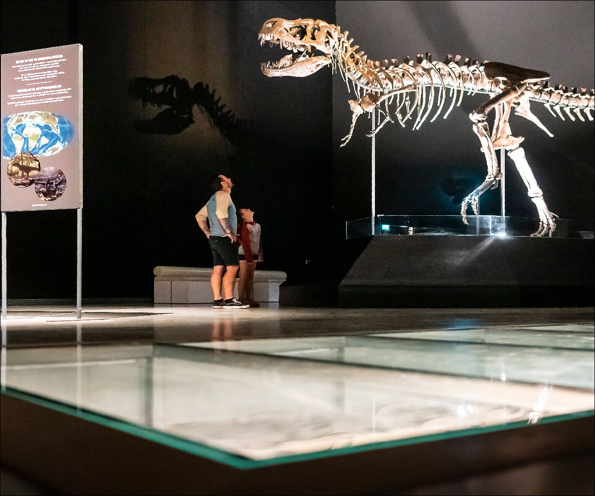 Dinosauriermuseum in Denkendorf