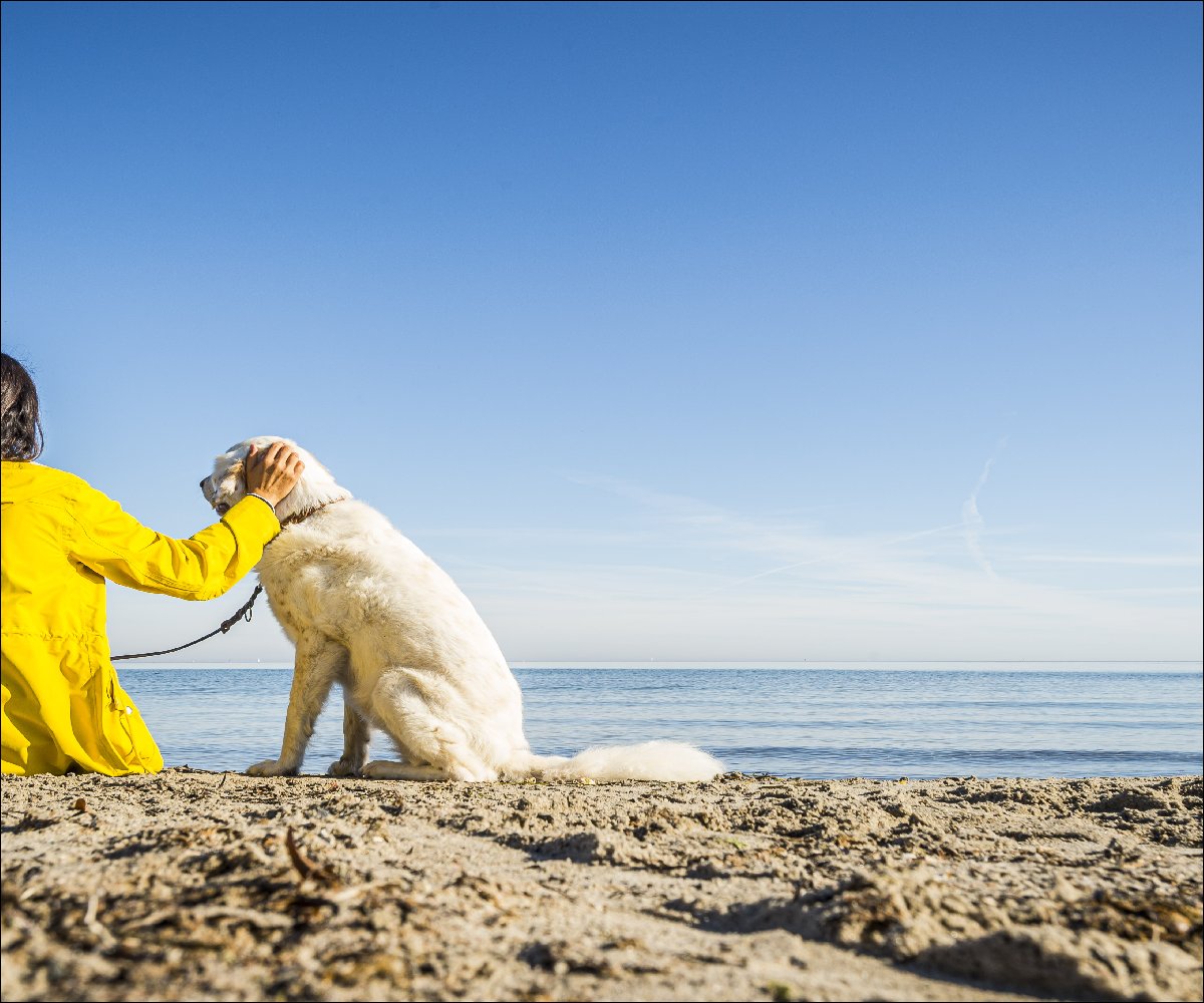 Frau mit Hund am Strand (2) © LTM