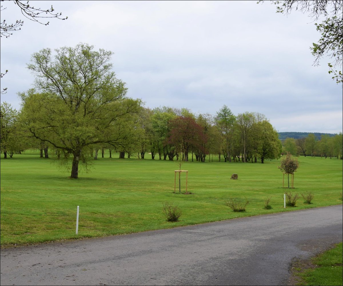 Buggy - Golfplatz Marburg