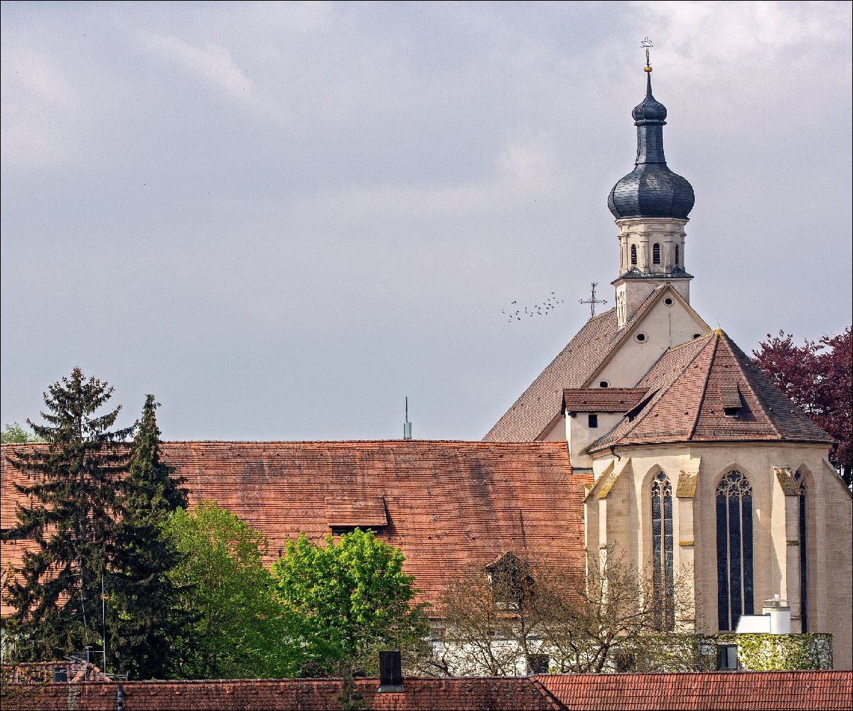 Bad Wimpfen Dominikanerkirche