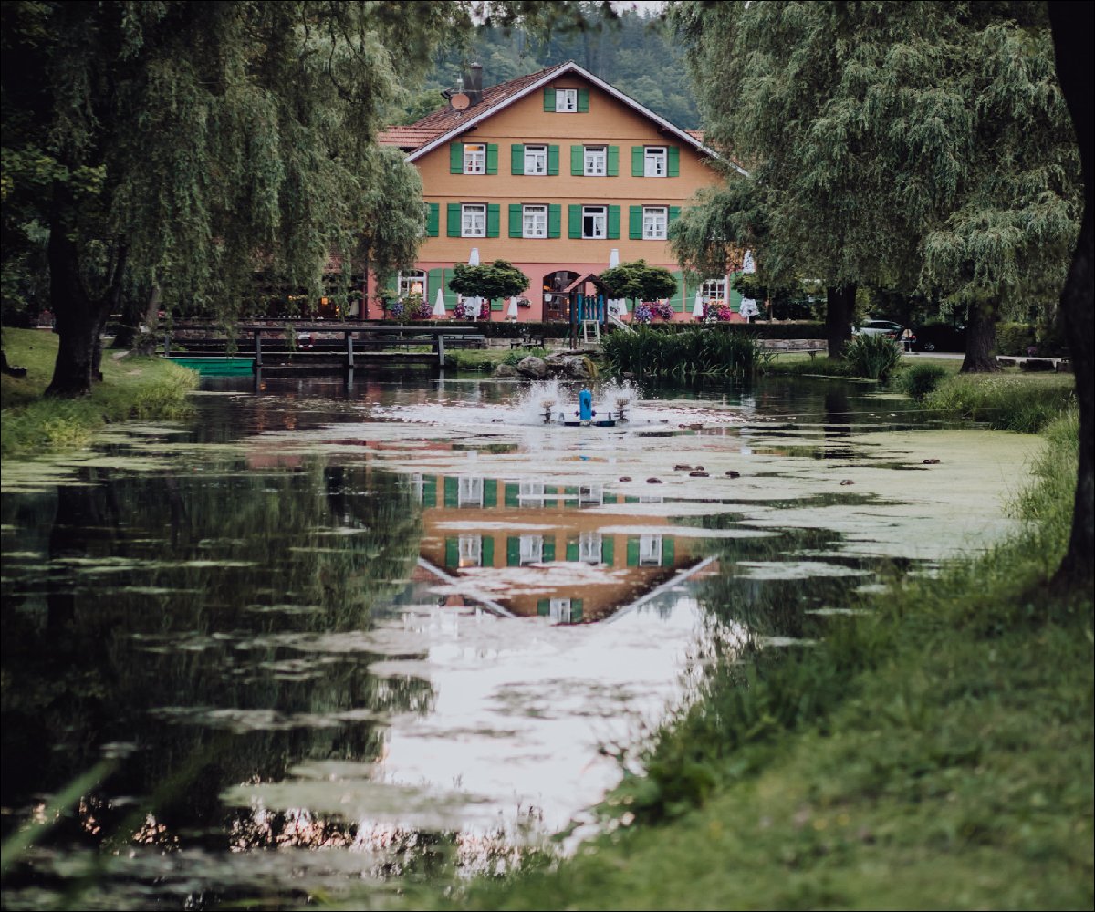 Hotel zur Alten  Mühle mit See