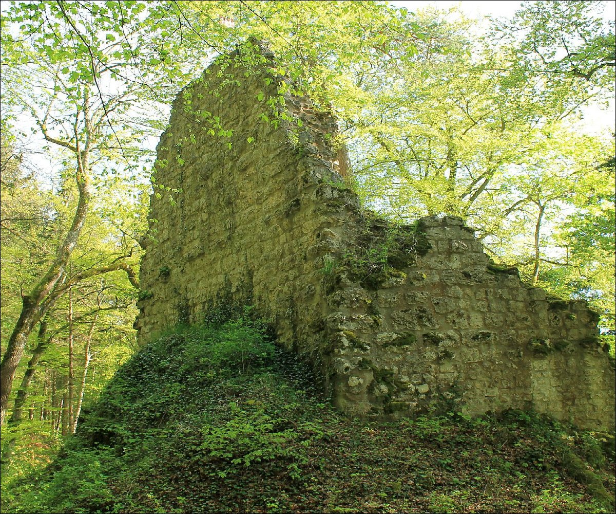 Ruine Kraftstein